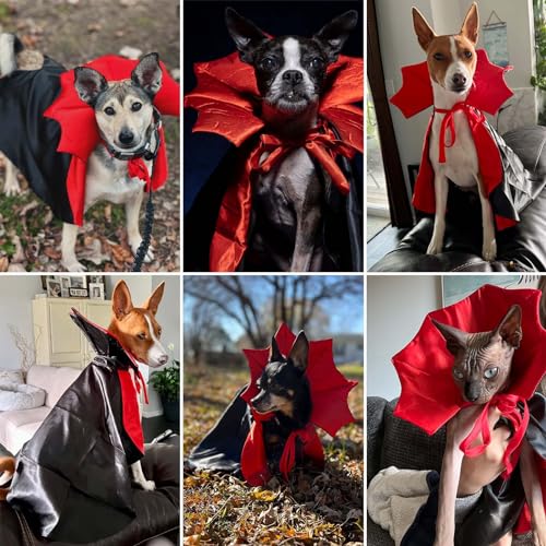Disfraz para Perro 2 Pack Alas de Murciélago y Capa Vampiro miniatura 6