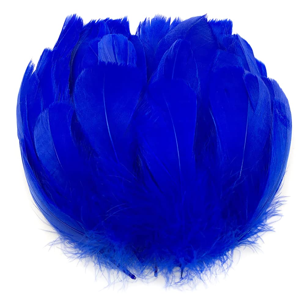 LICHENGTAI 200 Pièces Coloré Plumes De Nature, Naturel Artisanat Plumes D'oie Pour Capturateurs De Rêve DIY Craft Boucles D'oreilles Artisanat Accueil Fête Mariage Baby Shower Décorations 6cm-12cm