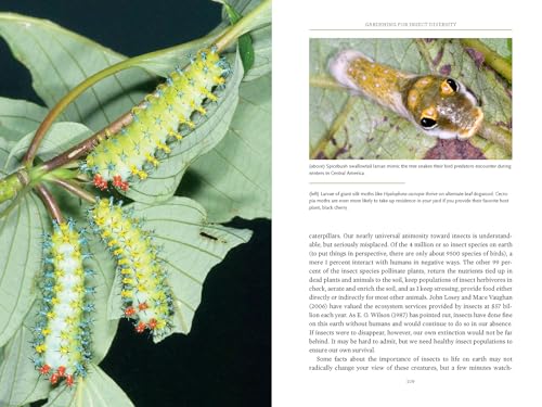 Bringing Nature Home: How You Can Sustain Wildlife with Native Plants, Updated and Expanded - Image 6