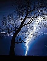 Thunderstorm Notebook: 8.5 X 11 202 College Ruled Pages 1979501734 Book Cover