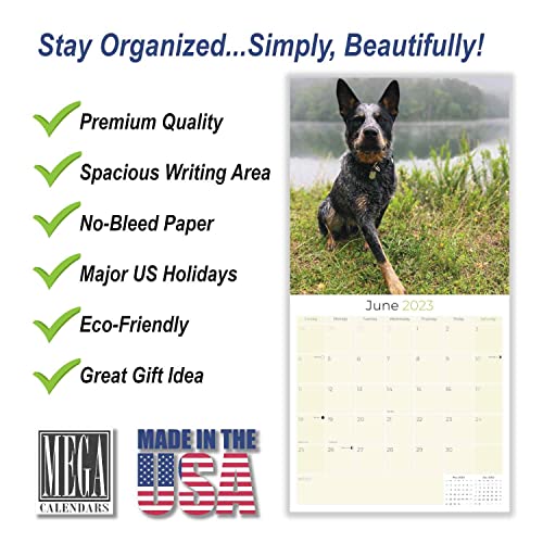 2022 2023 Australian Cattle Dog Calendar - Dog Breed Monthly Wall Calendar - 12 X 24 Open - Thick No-Bleed Paper - Giftable - Academic Teacher's Planner Calendar Organizing & Planning - Made In Usa #TOP1