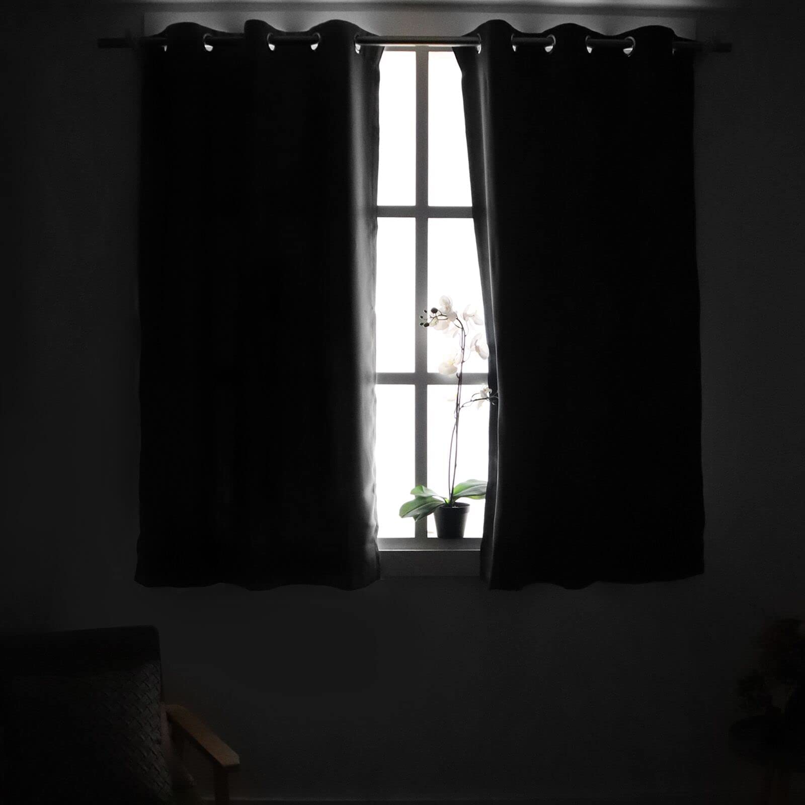 View 2