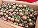 30+ Chocolate Cherry Heirloom Tomato Seeds