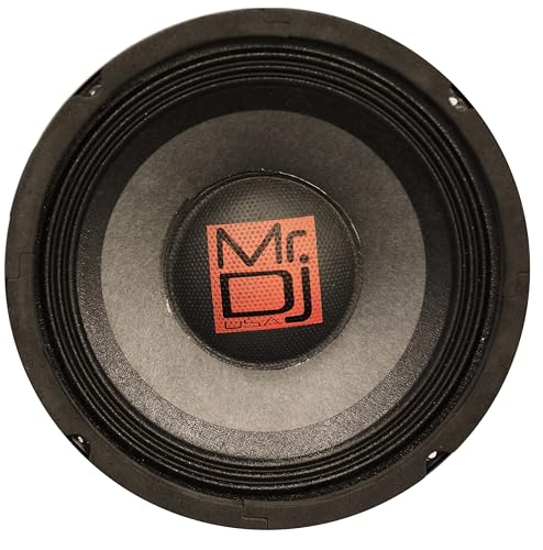 Mr. Dj USA (PRODW10) Subwoofer, Black 320 Max Watt 10