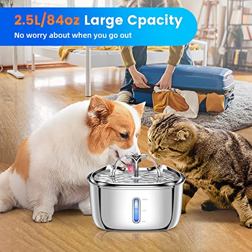 Cat Water Fountain With Water Level Window And Led Light, Automatic Pet Water Fountain Cat Dog Water Dispenser, 2.5L/84Oz Water Fountain Stainless Steel With 3 Replacement Filters For Multiple Pets #TOP5