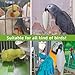Acsist 12 Pcs Cuttlebone for Birds,Natural Cuttlefish Bone for Parakeets, Cuddle Bones for Sharp Beak, Premium Bird Calcium Stone for Parrots Budgie Cockatiel Snail Tortoise,3.7