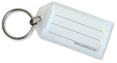 Lucky Line Key Tag with Flap and Split Ring, Clear,
