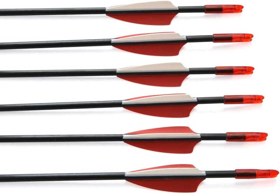 AMEYXGS 12 Pcs Fiberglass Arrow OD:6mm Target Practice Arrow for recurve Bow & Compound Bow