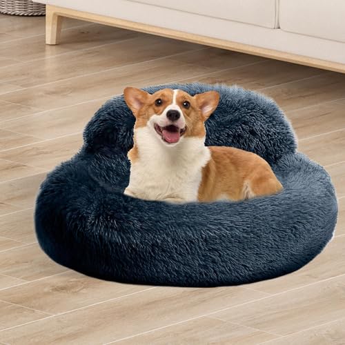 Lit pour chiens avec bords surélevés pour appartement