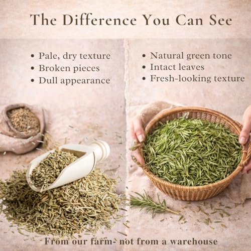 Image of YAARA Premium Rosemary Leaves Organic, Dried Rosemary Leaves for Hair Growth, Seasoning, Cooking, Herbal Tea, Hair Oil, Reduce Hair Fall (50Gram)