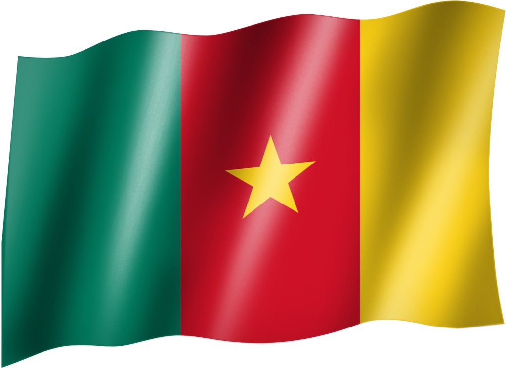Bandiera Del Camerun Dalle Macchie Di Ptura Illustrazione Vettoriale