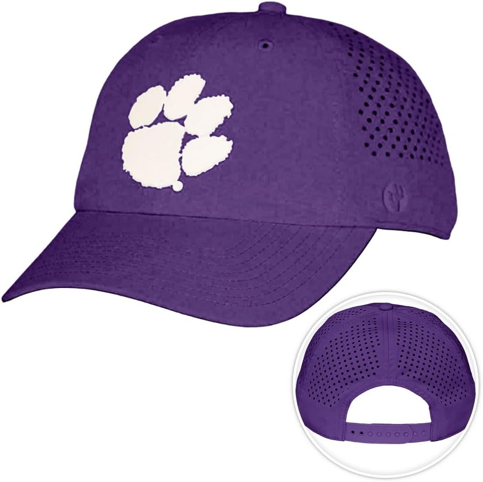 Desert Cactus Clemson Snapback Hat – BreezePro Performance Baseball Cap with Adjustable Strap for CU Clemson Tiger Fans (BP2)