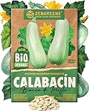 ZenGreens® - Semillas de calabacín bianca di trieste bio