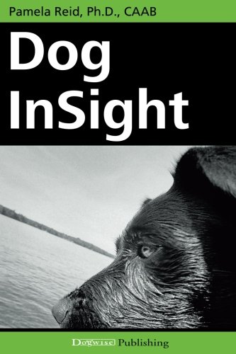Dog Insight
