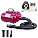 Professioneller Haustier-Haartrockner für Hunde und Katzen, doppelter Motor, super großes Windgebläse, Haustierkleidung, Haartrockner, 2500 W