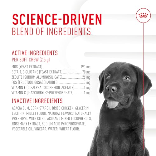 Royal Canin Puppy Supplement Soft Chews for Immunity & Digestion, 60 Count - image 5