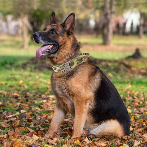 Taktisches Hundehalsband, Verstellbare Halsband Mit Kontrollgriff Weich Gepolstertes Nylon Hunde Halsband mit robuster Metallschnalle für Mittlere Große Hunde (Camo, L)