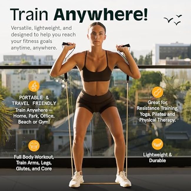 Retrospec Train Resistance Bands Workout Bands w/Handles, Door Anchor, Carry Bag for Women & Men, Undertow, Set (5pc)