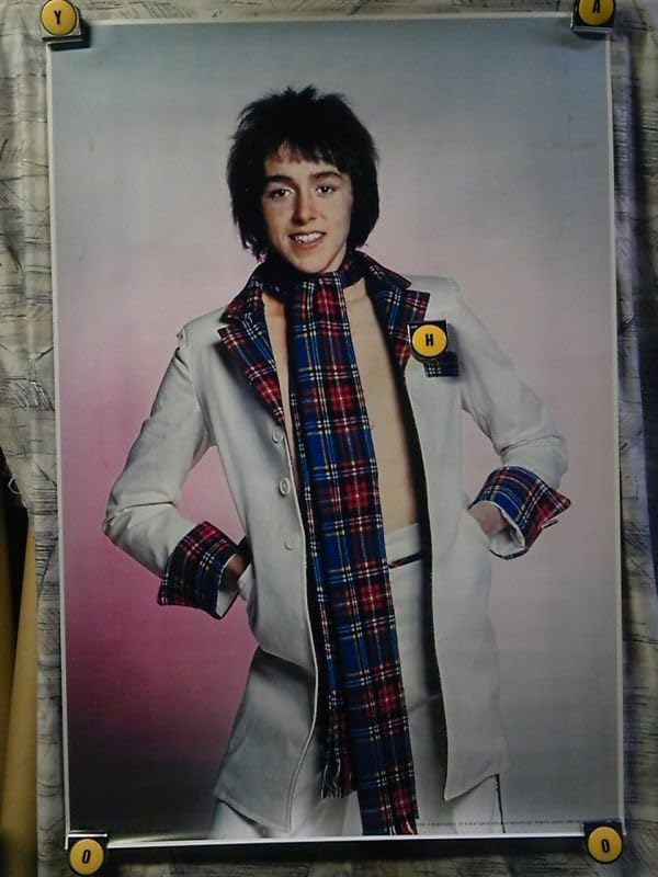 Amazon.co.jp: Big2 超大型ポスター/630x928㎜/ パット マッグリン