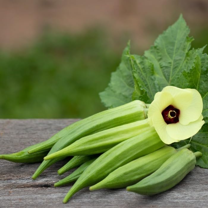 Green Lady Finger Vegetable Seeds | Okra Vegetable Seeds for Home Gardening (Pack of 50)` (B0D4QD86PX) Amazon Price History, Amazon Price Tracker