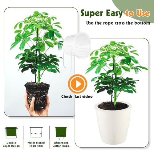 KvyusFlourish Self-Watering Pots for Indoor Plants, 8-Pack 6.7'' Self Watering Planter with Drainage Holes, Small African Violet Pots with Water Indicator, Clear Wick Pot, White by KvyusFlourish - Image 8