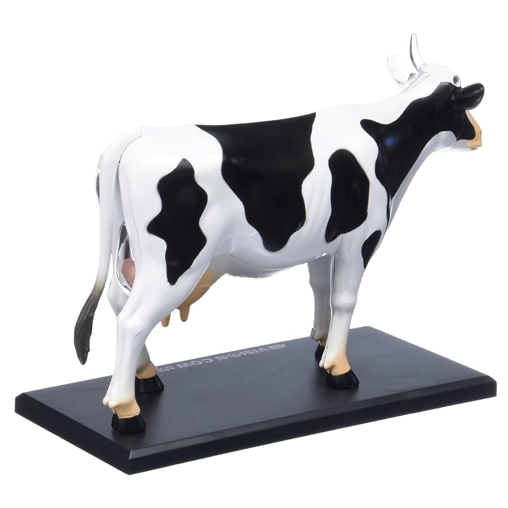 ASSICON Kits de Modelos anatómicos Modelo de anatomía de órganos Animales, 32 Piezas Desmontables para demostración de enseñanza de Animales, formación Veterinaria en clínica de Mascotas
