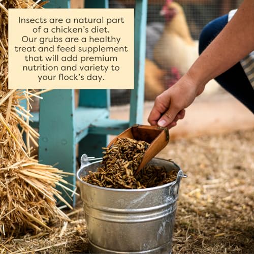 Scratch and Peck Grubs for Chickens and Ducks - 3.5 lbs Bag - Sustainably Sourced - Naturally High Protein, Calcium Dense - Dried Black Soldier Fly Larvae Bird Treats
