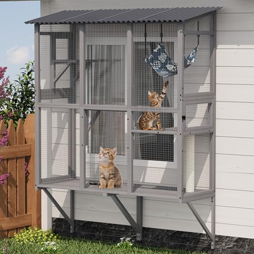 Large Window Box Catio
