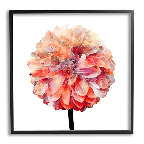 Stupell Industries Bright Coral Watercolor Bloom Dahlia Flower, Design by Kimberly Allen Black Framed Wall Art, 24x24, Pink