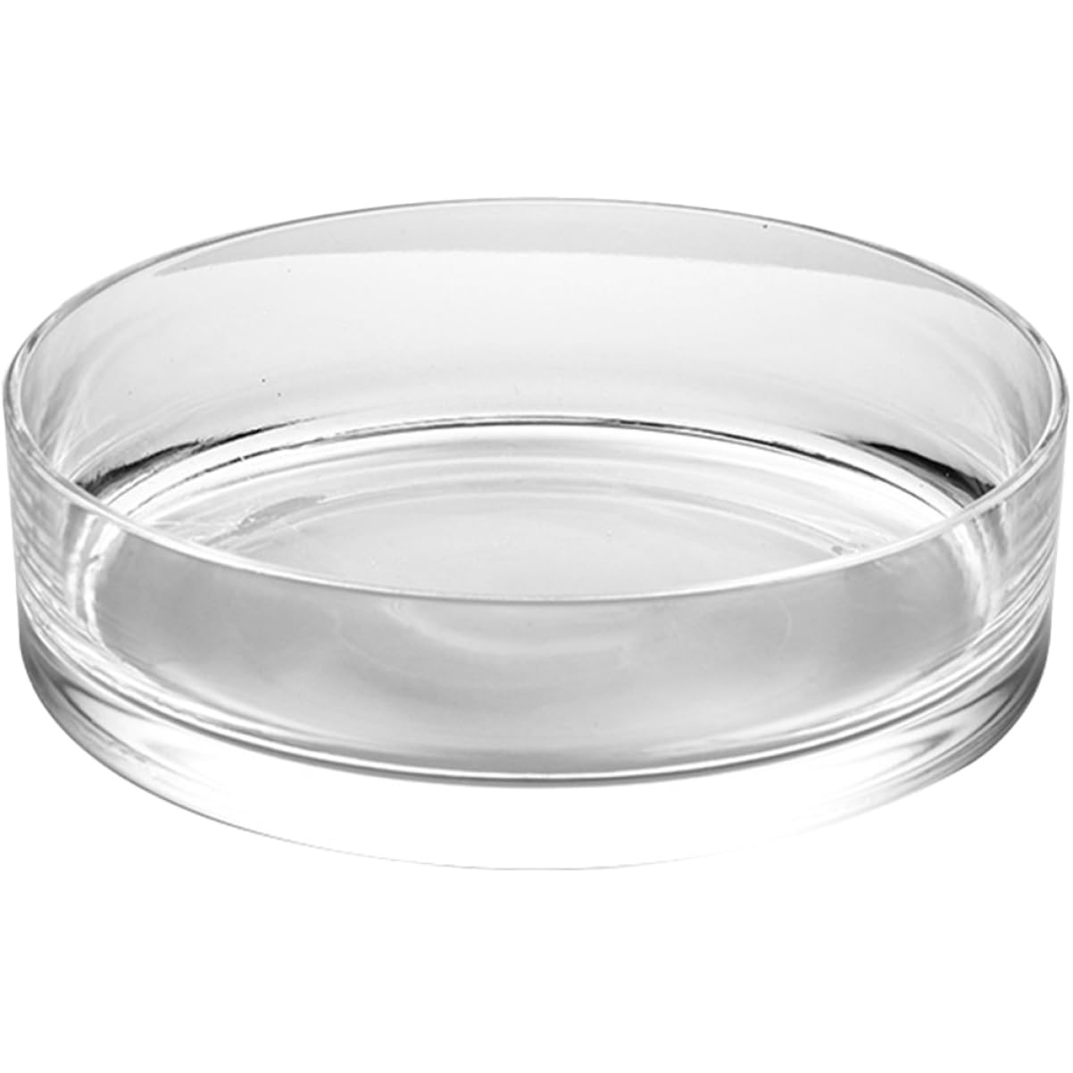 Vase en verre cylindrique pour plante hydroponique et décoration intérieure