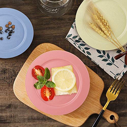 Wuweot 6 Pack 10 Inch Wheat Straw Plates, Dishwasher & Microwave Safe Dinner Plates, Lightweight & Unbreakable, Non-Toxin, Bpa Free And Healthy For Kids Children Toddler & Adult (6 Colors #TOP3