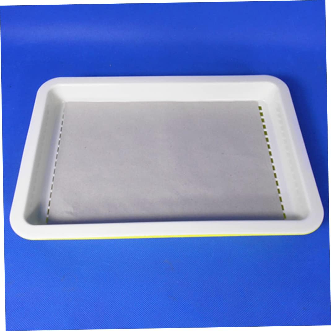 Beito Seed Paper Plantable Paper Germinating Paper Seed Paper Sheets Seed Sprouter Paper for Garden Farm Plant Germination Tray Vegetable Planting 150PCS : Patio, Lawn & Garden