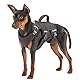 Ferplast Hundegeschirr Kleiner Hund ERGOTREKKING S, Ausbruchsicheres Hundegeschirr, Greyhound, Perfekte Passform, Verstellbares Geschirr für Hunde, Reflektierend, Gepolstert, 6 Verschlüsse