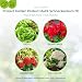 PROTECT GARDEN Protect MaXX Schneckenkorn FE, regenfest, zuverlässige Schneckenbekämpfung an Gemüse, Obst und Zierpflanzen, 500g Faltschachtel für bis zu 130m²
