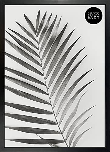 pf+a A2 Black Winchester Frame - Perspex Window - Wooden A2 Poster Picture Frame / Premium A2 (42x59.4cm) poster frame