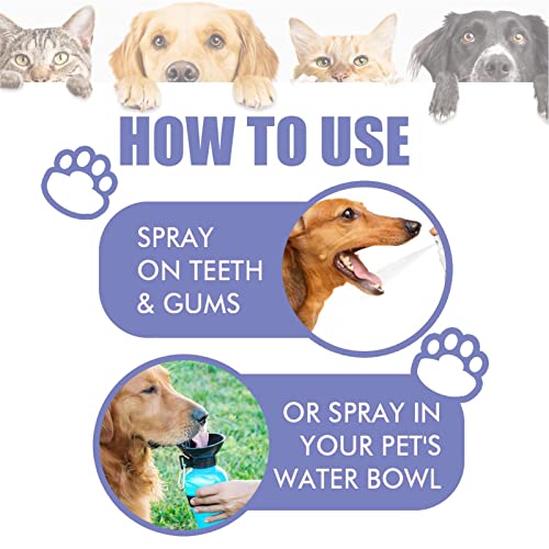 Spray oral para cães - Spray bucal para estimação,Spray hálito para gatos e dentes para estimação pa