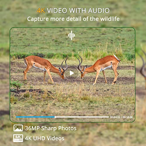 Foto von Wildkamera 36MP 3840×2160P Ultra HD Wildtierkamera mit 44pcs 940nm No Glow IR LEDs Bewegungsmelder Nachtsicht, 0,2s Nachtsicht Wildkamera mit 32G Speicherkarte IP66 Wasserdicht für Wildbeobachtung