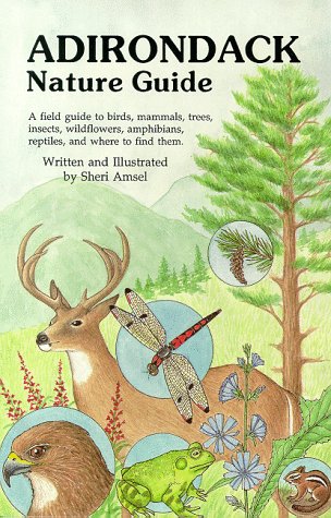 The Adirondack Nature Guide 0963247638 Book Cover
