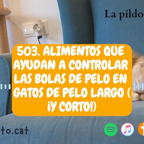 503. Alimentos que ayudan a controlar las bolas de pelo en gatos de pelo largo (¡y corto!) cover art