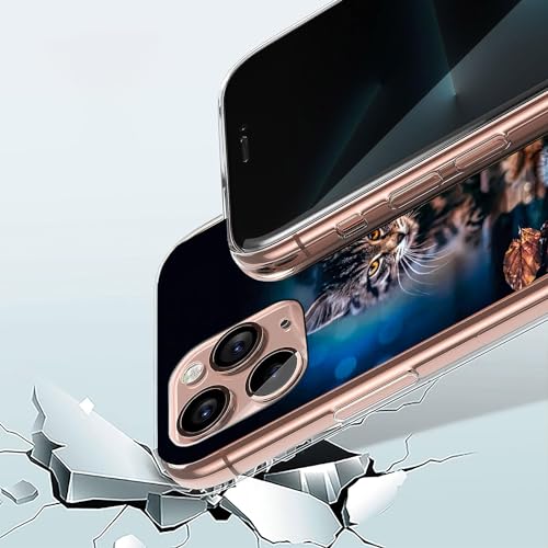 La Mejor Selección de Huawei 8s , listamos los 10 mejores. 14 Imagen adicional
