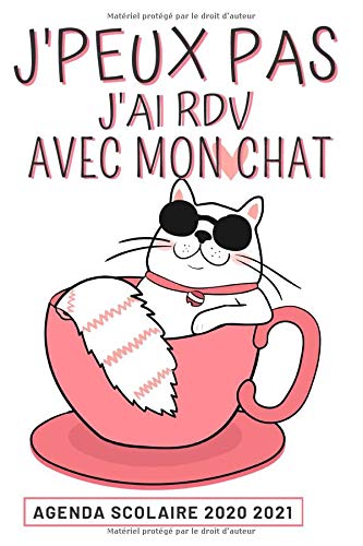 Télécharger Agenda Scolaire 2020 2021: Humour agenda pour Amoureux Chat Chatton | Agenda semainier | Emploi du t PDF
