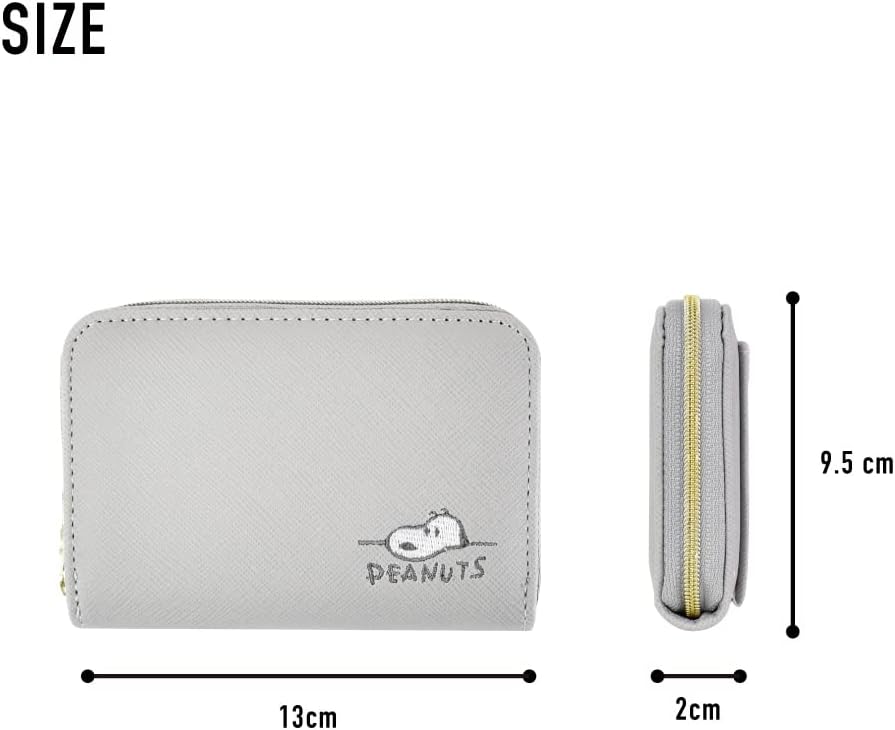 coin case with pass