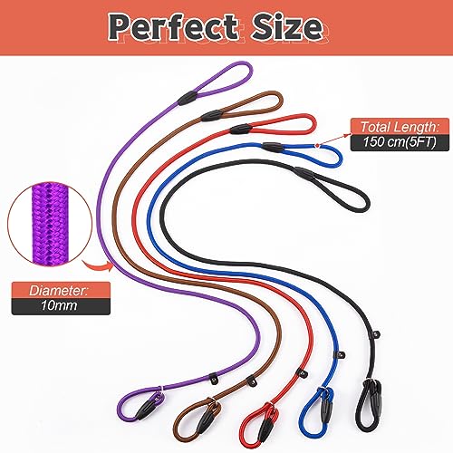 Dog owner walking dog using reflective slip lead