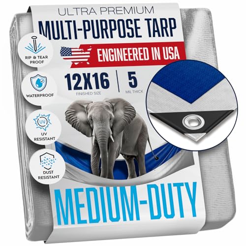 12x16 Tarp, Waterproof Plastic Poly 5.5 Mil Thick Tarpaulin with Metal Grommets Every 18 Inches - Emergency Rain Shelter, Outdoor Cover and Camping Use - (Reversible, Blue and Silver) (12x 16 Feet)