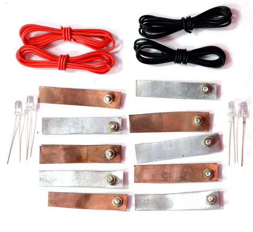 DIBLOX Zinc - Copper 5 + 5 Plate Strip Work of Lemon Energy and Patoto Energy Practical | Project | Chemistry for School College Project Experiments