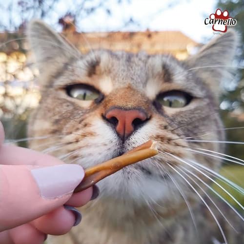 Carnello Katzenspaghetti – Katzen Leckerlies, Sticks, Snacks, Kaustangen – Gesundheitsprodukte für Katzen (3 x 30g)