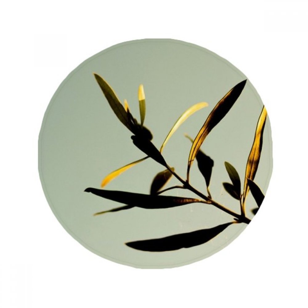 Tapis rond antidérapant motif feuille naturelle idée cadeau déco maison 50cm