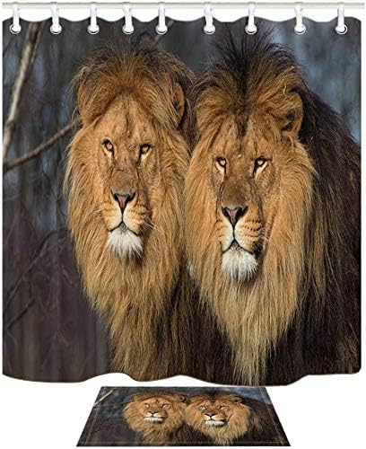 Amazon Qdylm ライオンシャワーブラインドアフリカの草原の森にある野生生物のシャワーカーテン防水71x71インチフランネル素材には12個のプラスチックフックが含まれています シャワーカーテン ホーム キッチン オンライン通販