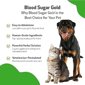 Pet Wellbeing – Blood Sugar Gold Value Size for Dogs & Cats – Natural Support for Healthy Blood Sugar Levels in Your Pet with Diabetes – 4 oz (118ml)