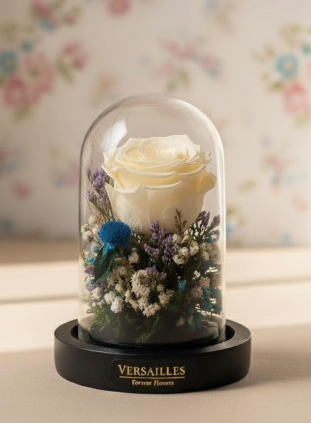 Versailles Eternal Rose Glass Dome | Luxury Preserved White Rose with Wheat Grass, Cyprus Leaves & Gypso | Elegant Gift & Home Decor Accent-image-12
